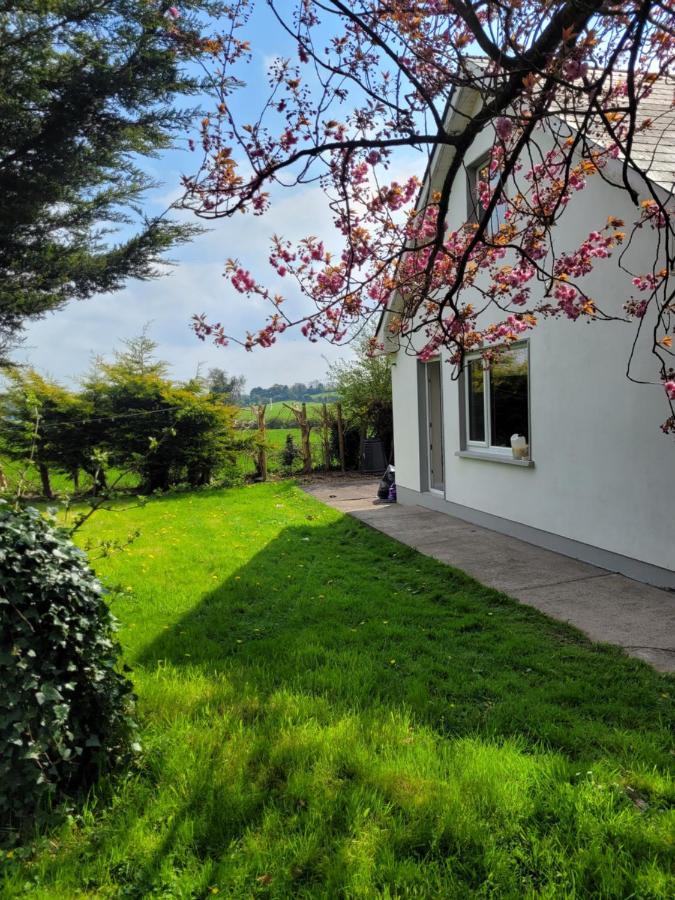 Beechwood House ,Apartment C15Ya44 Slane Exterior foto
